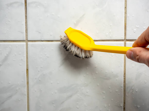 Best Commercial Mold Removal  in Wurtland, KY