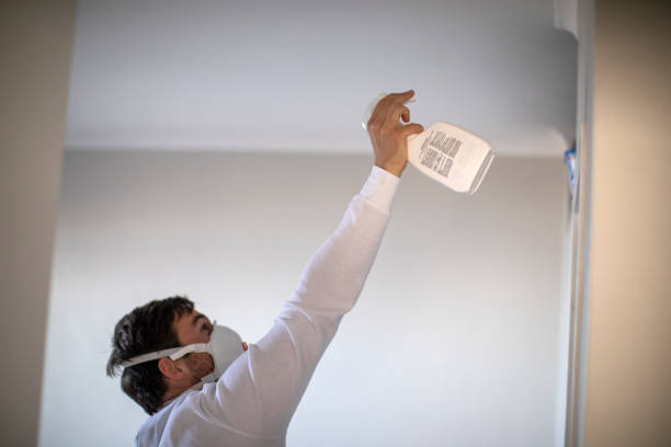 Best Fast Mold Removal  in Wurtland, KY